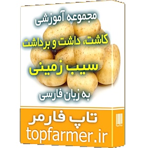 مجموعه آموزش کاشت سیب زمینی