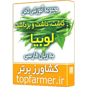 کاملترین پکیج آموزش کاشت، داشت و برداشت لوبیا