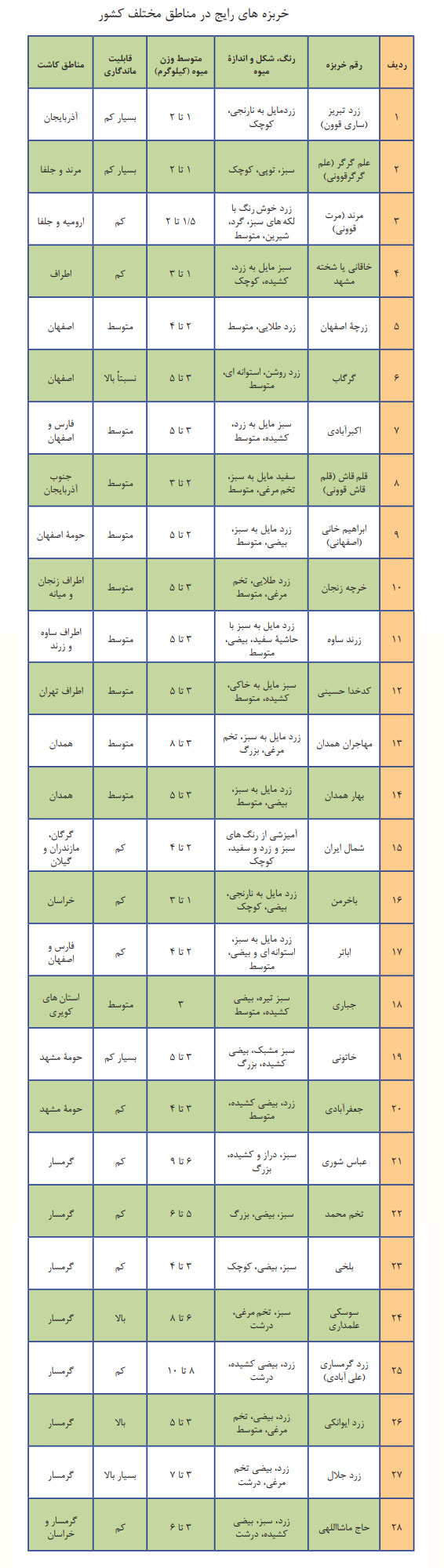 کاشت خربزه و ارقام مختلف خربزه