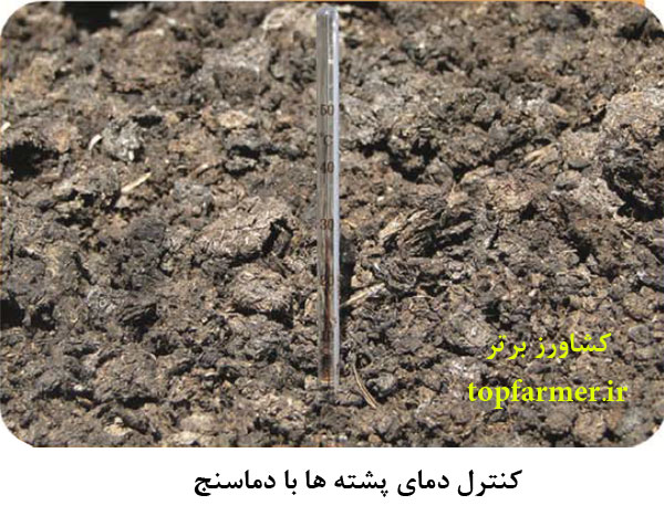 ایجاد کارگاه تولید ورمی کمپوست و تولید ورمی کمپوست