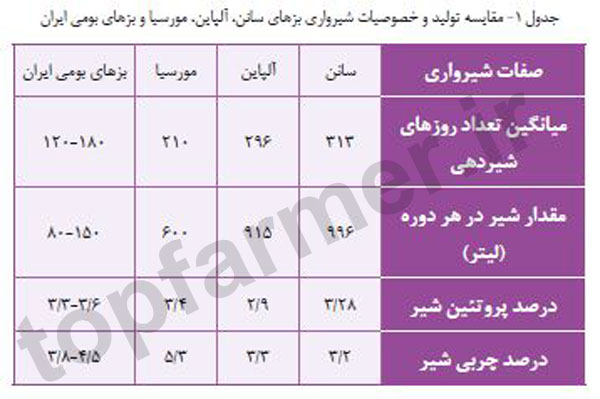 بز شیری, نژادهای مشهور بز شیری جهان, بز سانن, بز آلپاین, بز مورسیا, مقایسه نژادهای بز