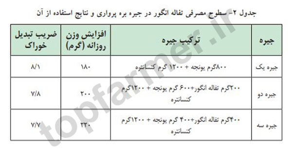 تفاله انگور در جیره بره پرواری