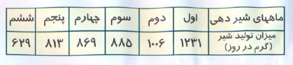 گوسفند شال و پرورش گوسفند شال